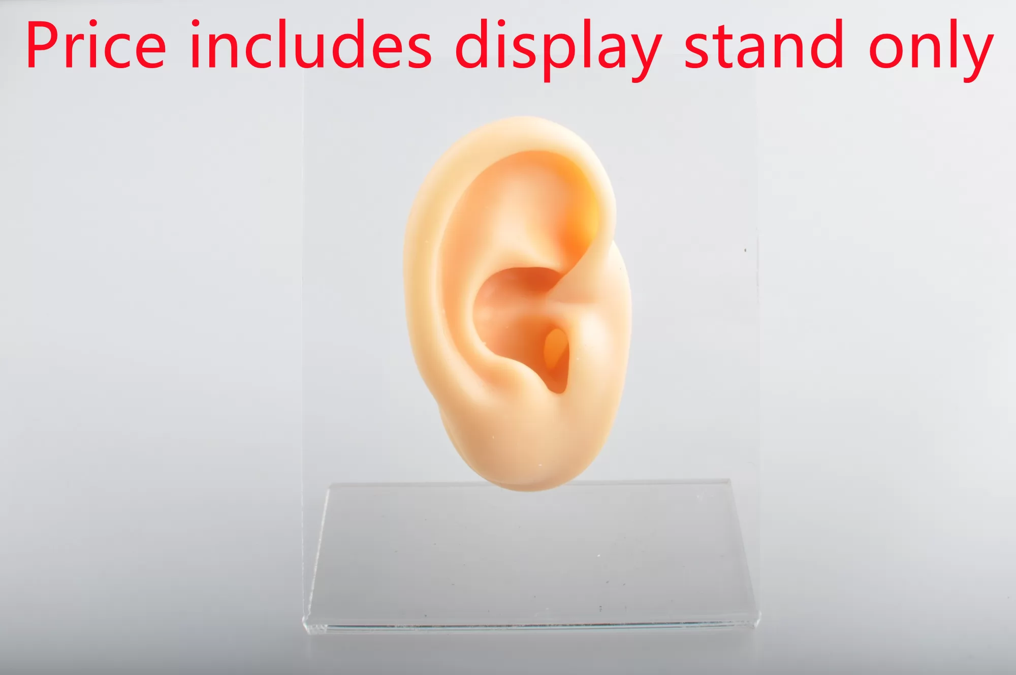 Nine Safe Piercing Silicone Organ Display Stand Oval Hole Not inclued Ear Silicone Fake Organ DIS-6